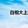 白相大上海（关于白相大上海介绍）