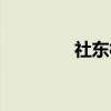 社东村（关于社东村介绍）