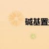 碱基置换（关于碱基置换介绍）