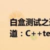 白盒测试之道：C++test（关于白盒测试之道：C++test介绍）