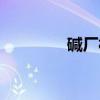 碱厂村（关于碱厂村介绍）