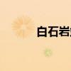 白石岩站(关于白石岩站介绍) 白石岩站(关于白石岩站介绍)