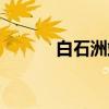 白石洲站（关于白石洲站介绍）