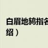 白眉地鸫指名亚种（关于白眉地鸫指名亚种介绍）