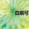 白眉可汗（关于白眉可汗介绍）