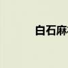 白石麻衣（关于白石麻衣介绍）