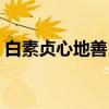 白素贞心地善良（关于白素贞心地善良介绍）