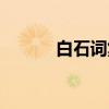 白石词集(关于白石词集介绍) 白石词集(关于白石词集介绍)