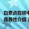 白素贞在塔中修真养性（关于白素贞在塔中修真养性介绍）