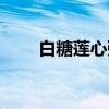 白糖莲心粥（关于白糖莲心粥介绍）