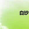 白纱窗（关于白纱窗介绍）