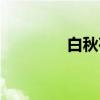 白秋荷（关于白秋荷介绍）