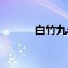 白竹九老（关于白竹九老介绍）