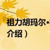 祖力胡玛尔·扎帕尔（关于祖力胡玛尔·扎帕尔介绍）