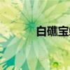 白礁宝螺(关于白礁宝螺介绍) 白礁宝螺(关于白礁宝螺介绍)