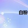 白粉婆（关于白粉婆介绍）