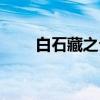 白石藏之介（关于白石藏之介介绍）