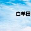 白羊田镇（关于白羊田镇介绍）