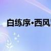 白练序·西风紧（关于白练序·西风紧介绍）