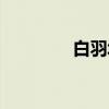 白羽城(关于白羽城介绍) 白羽城(关于白羽城介绍)
