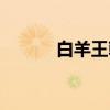 白羊王朝（关于白羊王朝介绍）