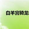 白羊宫骑龙祭（关于白羊宫骑龙祭介绍）