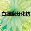 白细胞分化抗原(关于白细胞分化抗原介绍) 白细胞分化抗原(关于白细胞分化抗原介绍)