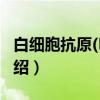 白细胞抗原(HLA)（关于白细胞抗原(HLA)介绍）