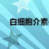 白细胞介素-9（关于白细胞介素-9介绍）