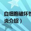 白细胞破坏性脉管炎（关于白细胞破坏性脉管炎介绍）