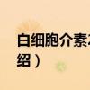 白细胞介素2检测（关于白细胞介素2检测介绍）