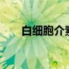白细胞介素l(关于白细胞介素l介绍) 白细胞介素l(关于白细胞介素l介绍)