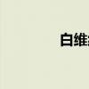 白维纯（关于白维纯介绍）
