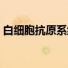 白细胞抗原系统（关于白细胞抗原系统介绍）