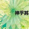 神乎其神（关于神乎其神介绍）