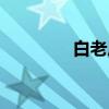 白老虎（关于白老虎介绍）