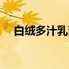 白绒多汁乳菇（关于白绒多汁乳菇介绍）