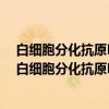 白细胞分化抗原PTA1基因结构及其染色体定位研究（关于白细胞分化抗原PTA1基因结构及其染色体定位研究介绍）