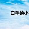 白羊镇小学（关于白羊镇小学介绍）