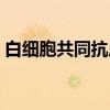 白细胞共同抗原（关于白细胞共同抗原介绍）