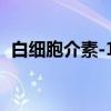 白细胞介素-15（关于白细胞介素-15介绍）