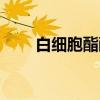 白细胞酯酶（关于白细胞酯酶介绍）