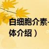 白细胞介素-21受体（关于白细胞介素-21受体介绍）