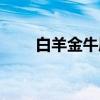 白羊金牛座（关于白羊金牛座介绍）
