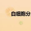 白细胞分类（关于白细胞分类介绍）