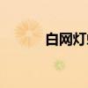 白网灯蛾（关于白网灯蛾介绍）