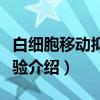 白细胞移动抑制试验（关于白细胞移动抑制试验介绍）