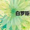 白罗斯语（关于白罗斯语介绍）