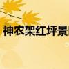 神农架红坪景区（关于神农架红坪景区介绍）
