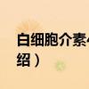 白细胞介素4检测（关于白细胞介素4检测介绍）